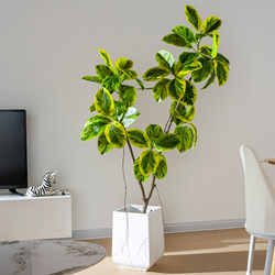 High-End Alpine Banyan Tree Simulated Green Plant Living Room Indoor and Outdoor Classy Luxury Bionic Plant Artificial Tree Floor-Standing Ornaments