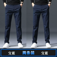 Сокровище синий+баолан 【пружинные и осенние участки】 【две части】