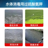 Калий -персильфат таблетки аквакультура креветки пруд пруд пруд крабов крабовый пруд -пруд -перспекто комплекс