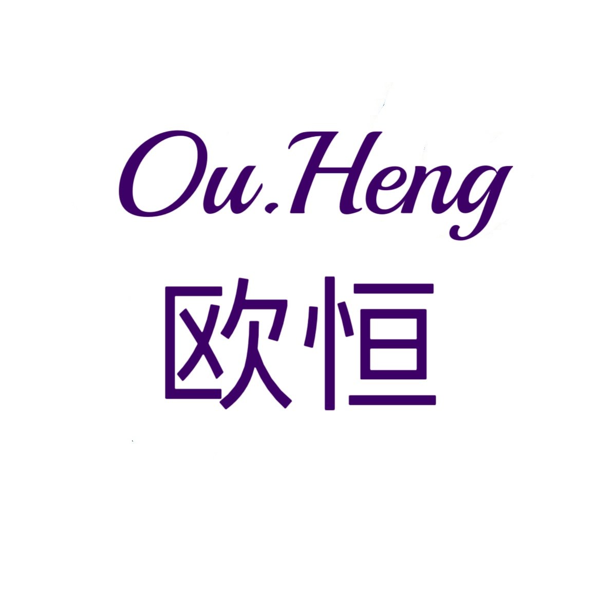欧恒数码店