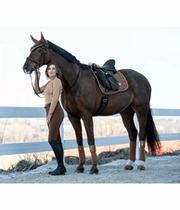 Felix Bühler Swiss harness Ginkgo series cinnamon color show jumping saddle pads horse earmuffs leggings