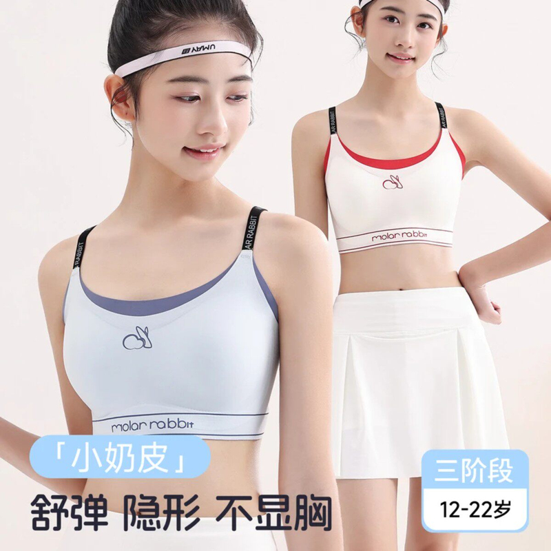 Molar Rabbit Clothing: Buy One Get One Free, Developmental Stage Three, 12-22 Year Old Girls' Underwear