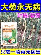 Green onion chive special medicine disease green onion garlic seedling yellow leaf withered leaf spot root rot gray mold dry tip yellow leaf sterilization