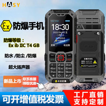 弘安EX-S9防爆手机双4G全网通防水防摔三防功能手机对讲石油化工厂燃气超长待机老人机老年机按键机