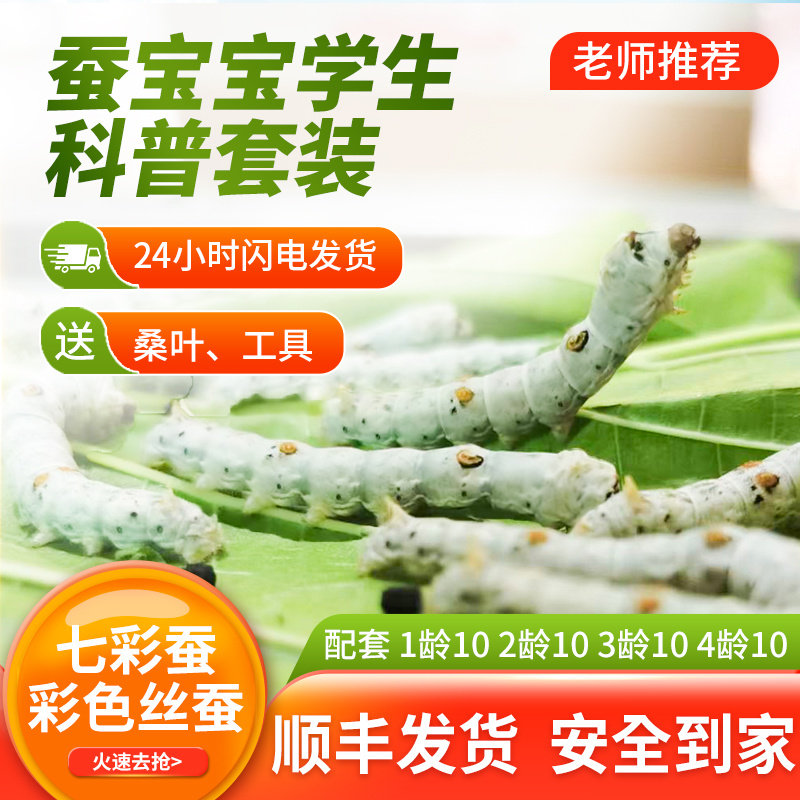 探索科学奥秘,与七彩蚕宝宝亲密接触🌈🔍-蚕宝宝-淘宝好物网
