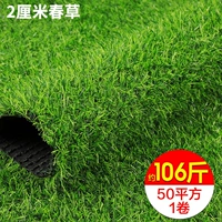 Густая весенняя трава толщиной 2 см составляет около 2,12 кг на квадратный метр, цена за квадратный метр.