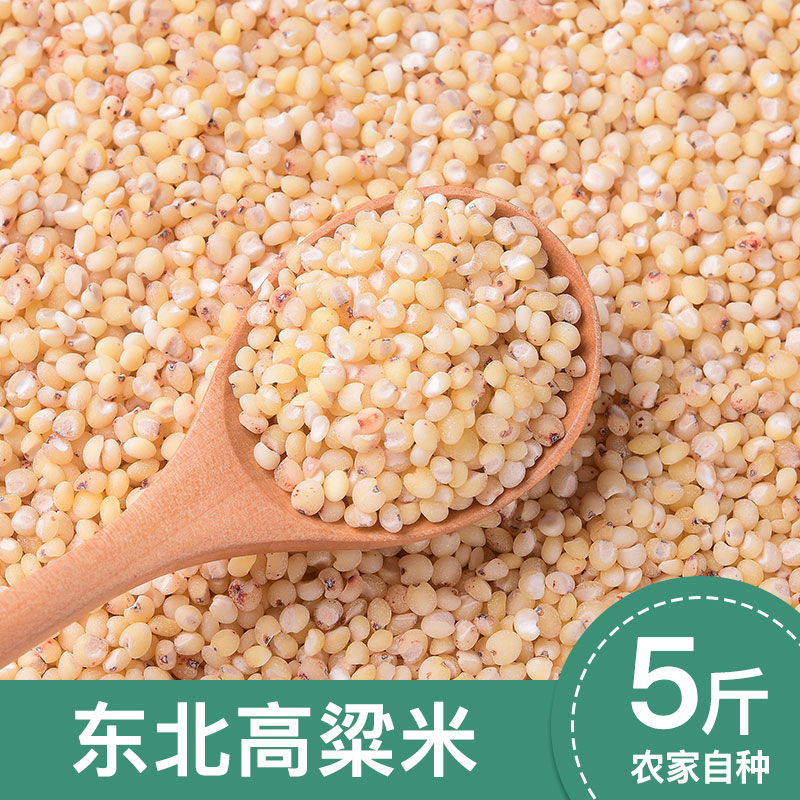 Northeast Teryield High Sorghum Rice New Rice 5 Catty White High Beam Rice Healthy Coarse Grain 5 Grain Cereals-Taobao