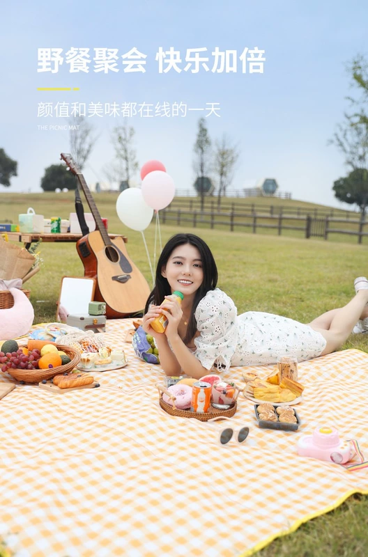 Thảm dã ngoại, thảm chống ẩm, thảm dã ngoại ngoài trời dày, thảm lều cắm trại trên bãi biển, thảm cỏ đi chơi di động không thấm nước