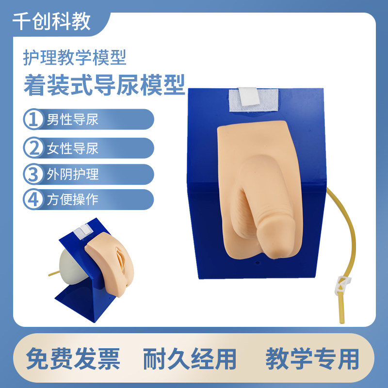 着装式导尿训练模型男女护理示教培训操作导尿模具