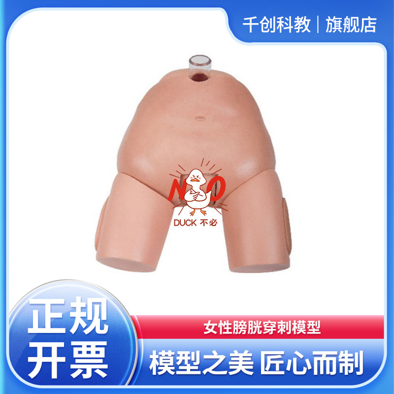 女性膀胱穿刺模型骨性标志尿道口暴露可换膀胱充盈叩诊穿刺落空感阻力逼真反复训练导尿冲洗生理狭窄医学教具