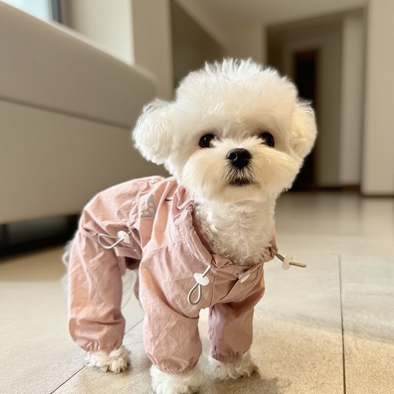 Japanese Mujiq Pet Dog Clothes Are Slightly Rainproof, Dustproof, Sunproof, and Mosquito-Proof for Bichon Frise, Schnauzer, and Maltese