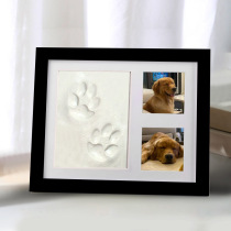 Pets Year Old Remembrance Kitty Dogs Feet Paw Prints EASY PRINT MUD BIRTHDAY MEMENTOS PHOTOS ADVANCED FEEL CUSTOM MADE