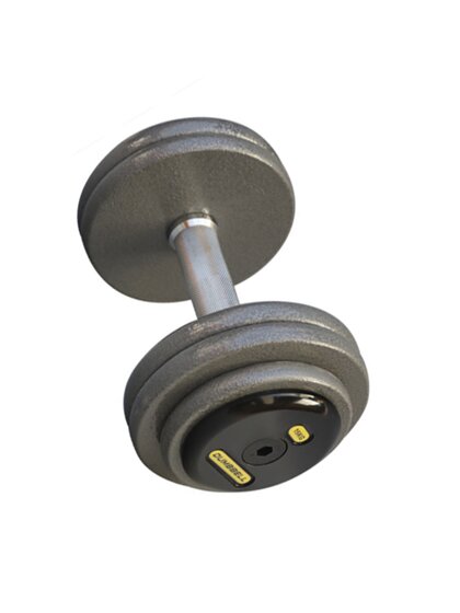 Painted Cast Iron Dumbbells for Home Use, Men's Arm Training, Painted Weight Plate Dumbbells, Commercial Solid Cast Iron Dumbbells for Gym Use