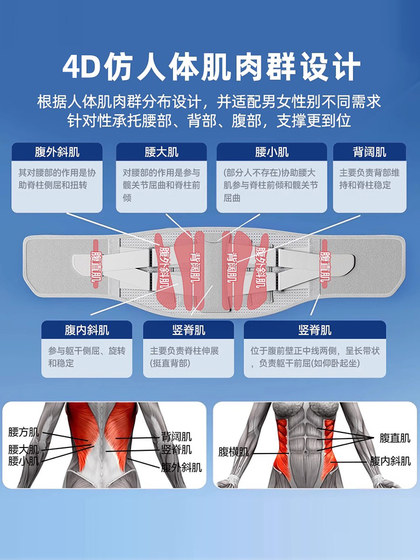 Waist Support Belt, Summer Thin Version, Fitness and Sports, for Men and Women, Suitable for Long Periods of Sitting and Standing, Magical for Relieving Back Pain, Warming, Professional Lumbar Support