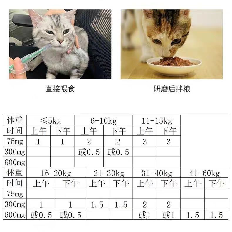 汉维宠仕宠立维头孢氨苄片,宠物健康守护者?🐾-狗呼吸道疾病药品-淘宝好物网