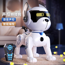 Intelligent Robot Dog Childrens Toy Dog Boy Girl Walking Electric Remote Control Robot Baby Toy 1663