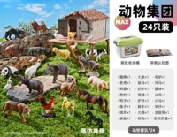 [24 ведра для животных для всей семьи] Бесплатное ведро для хранения + руководство по раннему обучению животных 1 при размещении заказа