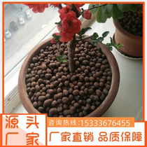 Hebei ceramsite bottom succulent flower pots special breathable paving stone peat backfill volcanic stone particle nutrition