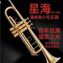 The trumpet instrument has a translucent tone in B key and is a universal brass instrument for entry-level professional examinations for adults and children.