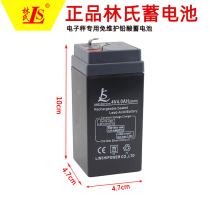 Yaohua Electronics Weighing Battery Electron Scale Battle Dayang Jeremy Bailens Oma 4v4a General 4 5A Hook