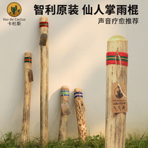 Cardus cactus rain stick rain sound stick South America Chile cactus ocean waves onomatopoeia therapy meditation niche musical instrument