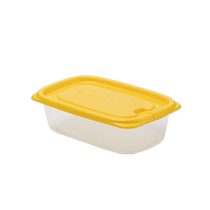 Special rectangular physical special plastic case for tea flower preservation box food grade refrigerator containing box frozen 3244