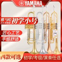 Small number YTR-8335GS drop B tone start school test class playing instrument special brass trumpet instrument