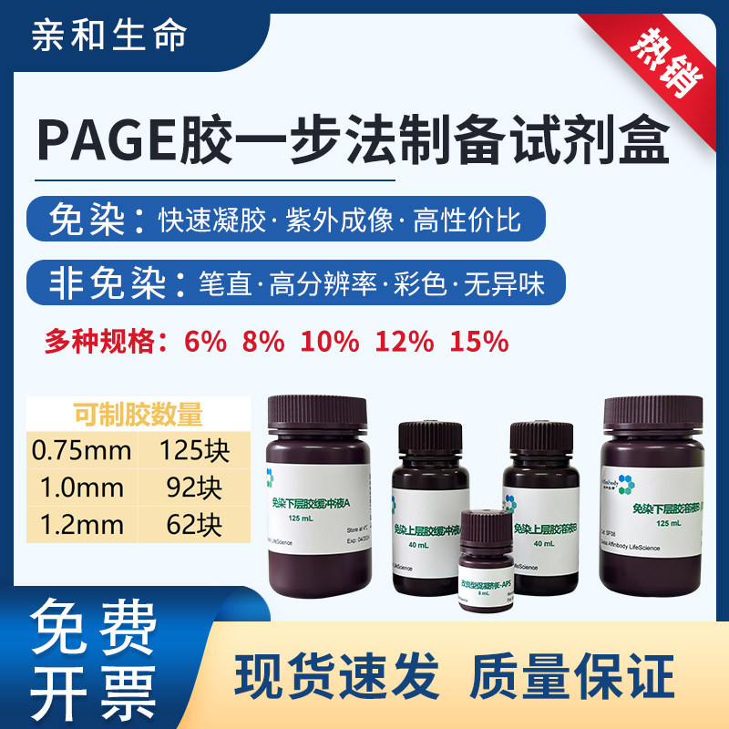 亲和生命免染/非免染PAGE胶一步法制备试剂盒彩色免染高分辨率