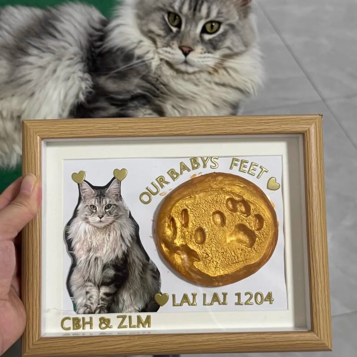 📸 Pet paw print memorial frame - diy ink pad kit for cats & dogs ...