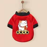 Никко Доджин (плюс бархат), чтобы согреться