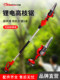 Xinghu High-Branch Electric Pruning Saw Rechargeable Lithium Chainsaw with Extended Telescopic Pole for Garden and Fruit Tree Pruning, High-Altitude Pruning