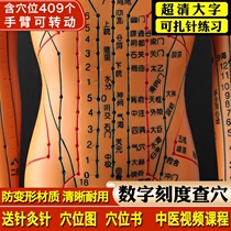 Acupuncture practice mold models 12 network training human model human-shaped medical silicone whole body teaching tools for men and women