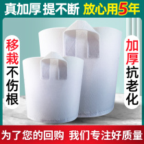 Beautiful planting bag tree planting bag non-woven thickened planting nursery bag root control flower pot factory direct sales batch customization