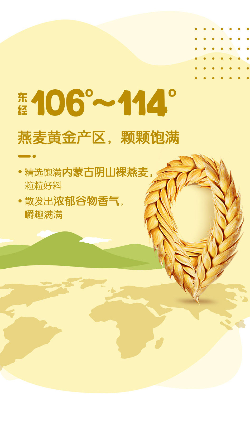 安享好物 安享B级酸奶-蒙牛阿慕乐酸奶 国标