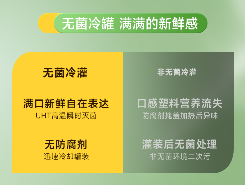 【10瓶礼盒装】轻上椰汁椰奶植物蛋白饮料