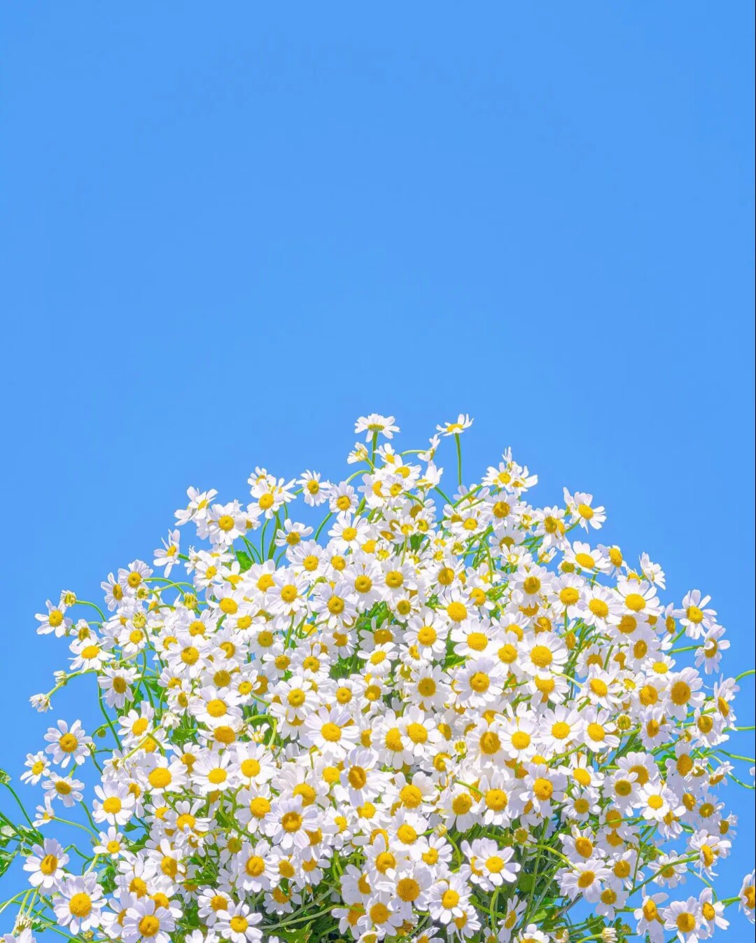 花花日化百货