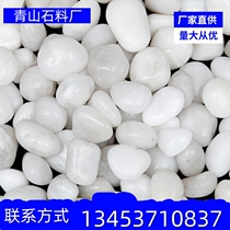 Stone 50 pounds white stone large pebbles courtyard paving garden paving landscape balcony decoration garden landscaping
