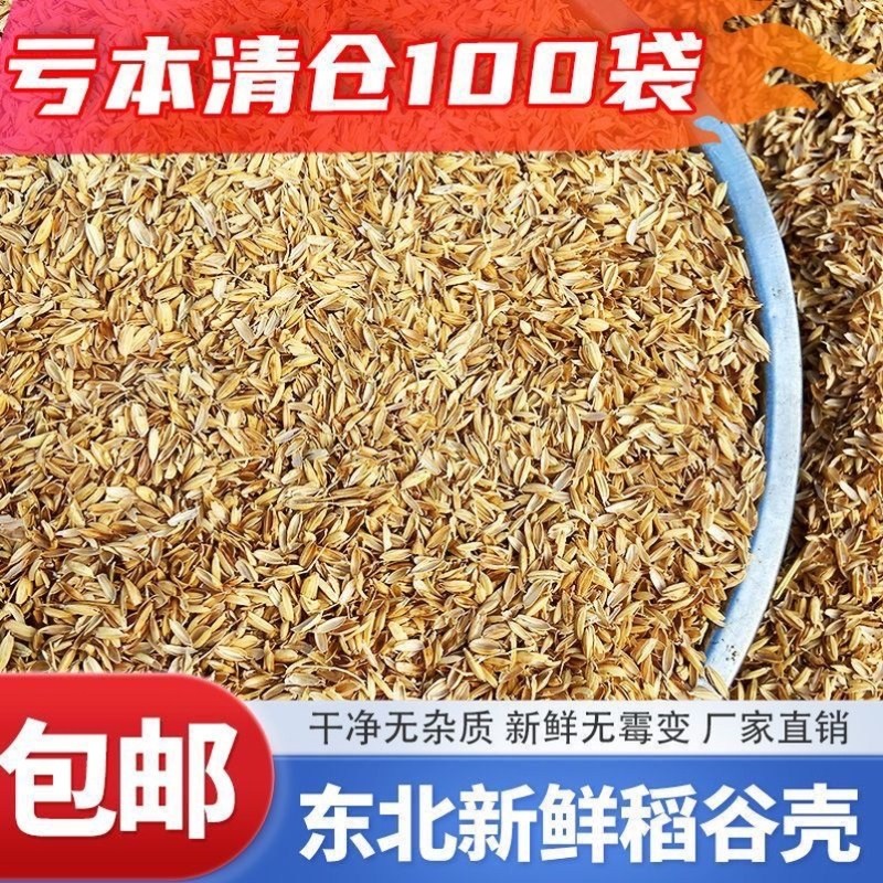 芦丁鸡养得好，垫料选什么最合适？2026年芦丁鸡养殖新趋势了解一下～