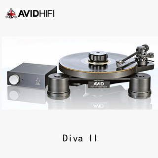 AVID DivaII vinyl record player