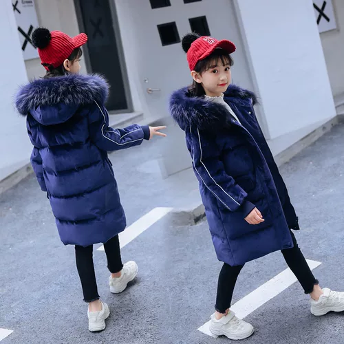 2022 -й кишки - это грудоподъемник, Mid Dragon New Corean Child R