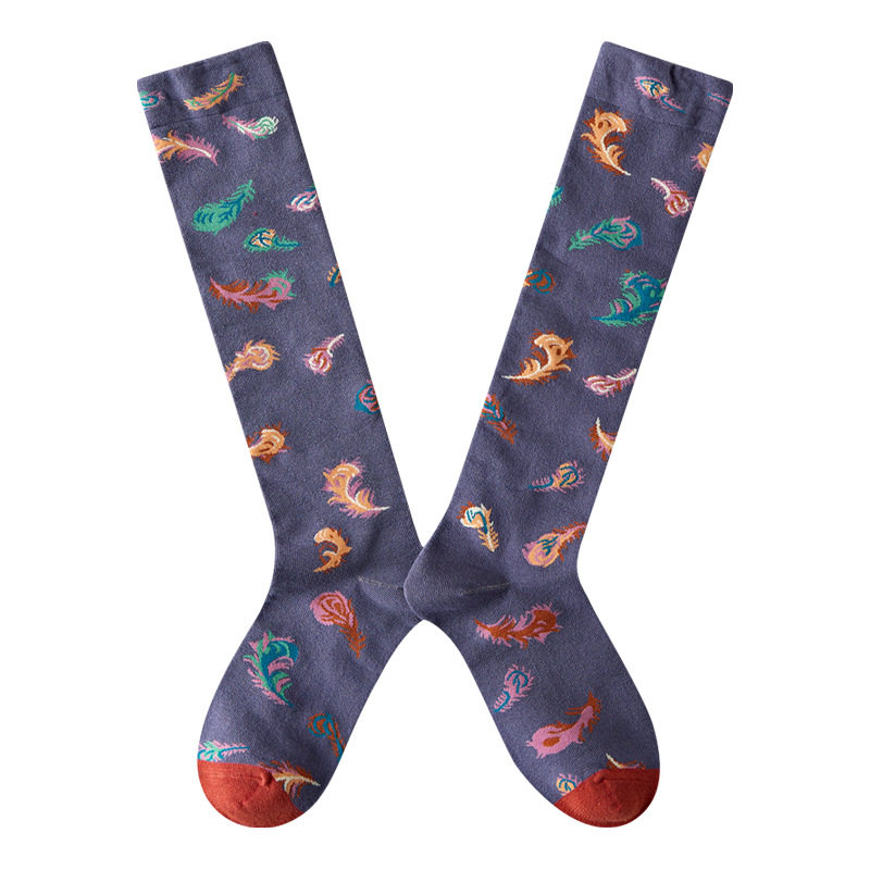 Носки medium and high tube calf and knee socks french ins style re Aishang