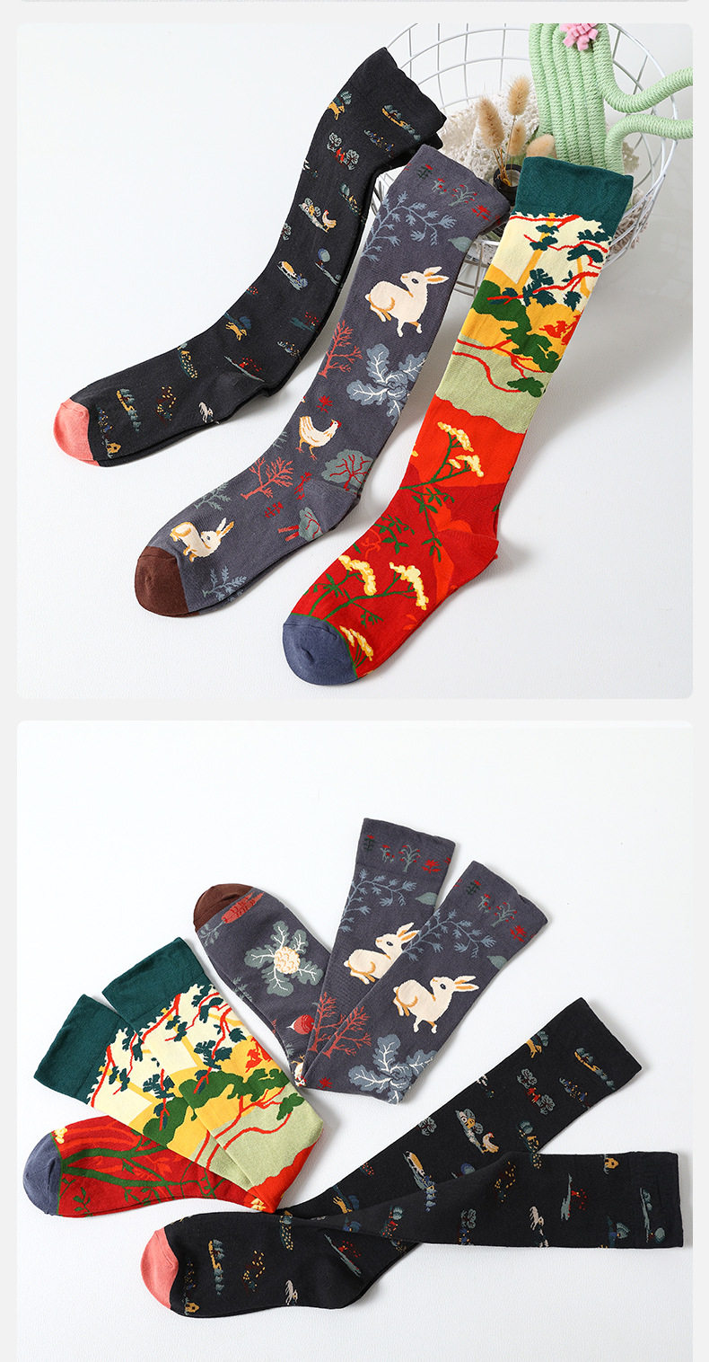 Носки medium and high tube calf and knee socks french ins style re Aishang