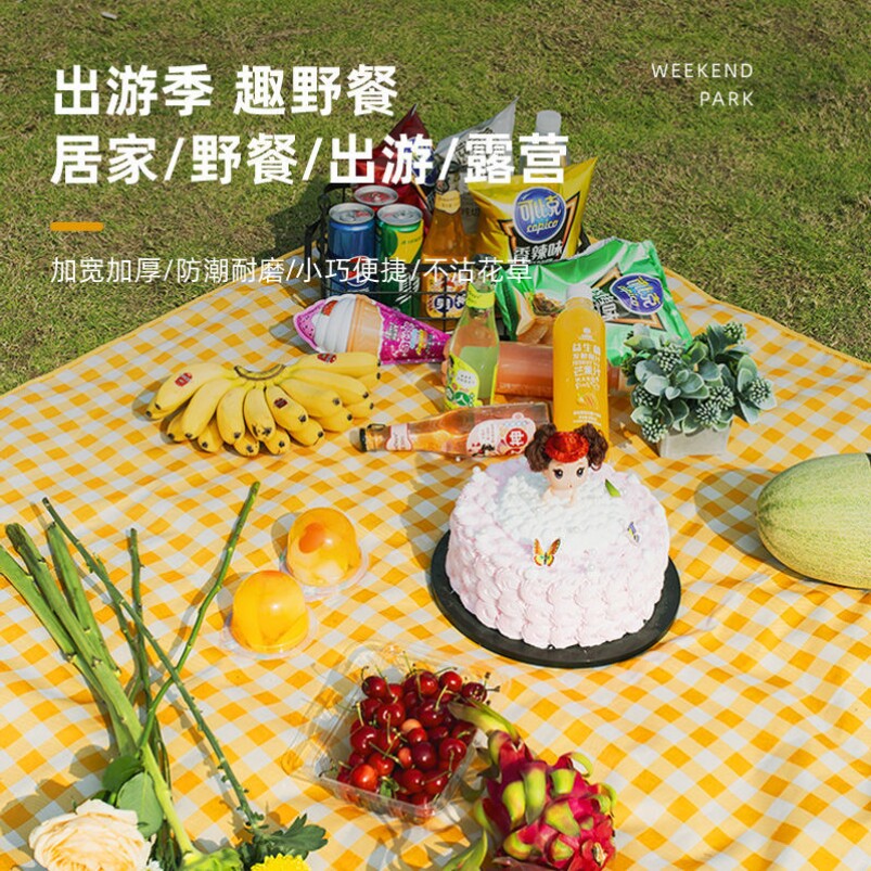 Picnic mat spring waterproof picnic cloth outing thickening in wind outdoor portable waterproof picnic field mat
