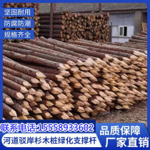 Pine wood pile piling wood outdoor river slope protection log solid wood pile greening fir support rod larch wood pile