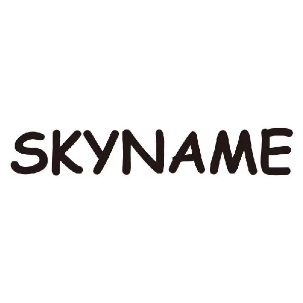 skyname品牌直营店