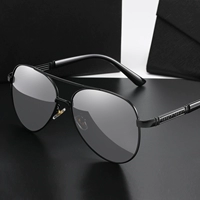 Черная рама с высоким содержанием поляризованного поляризации