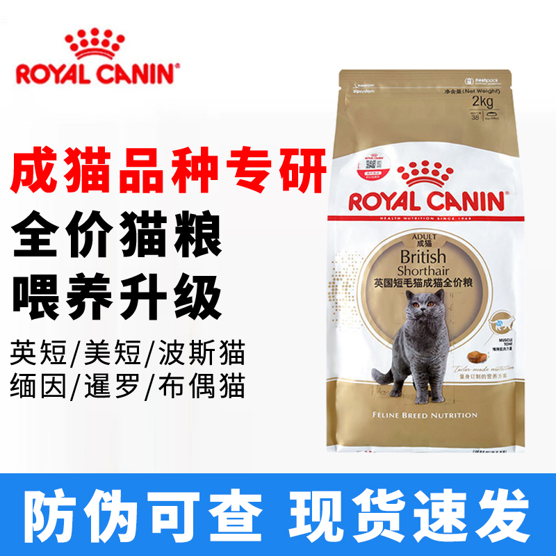 Royal Adult Cat Food 2kg British Shorthair Bs34 Ragdoll Cat Ra32 American Shorthair Persian Cat Maine Siamese Cat Specialized Royal Adult Cat Food 2kg British Shorthair Bs34 Ragdoll Cat Ra32 American Shorthair Persian Cat Maine Siamese Cat Specialized