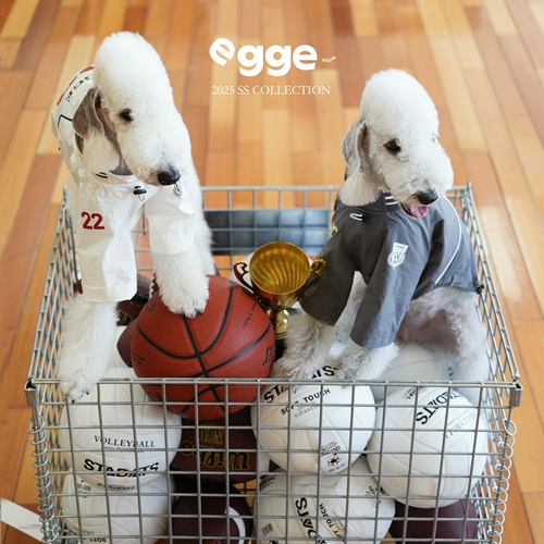 Egge Bellington, трикотаж в стиле ретро, весенне-летняя легкая одежда для собак, двуногие