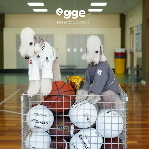 Egge Bellington, трикотаж в стиле ретро, весенне-летняя легкая одежда для собак, двуногие