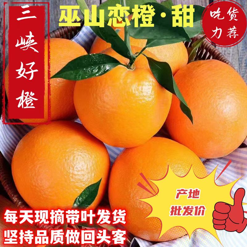 Fresh Chongqing Three Gorges Navel Oranges, Sweet and Sour Newhall Oranges, Seasonal Fruits for Pregnant Women, Whole Box Wholesale, Free Shipping